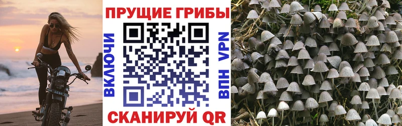 Галлюциногенные грибы прущие грибы  Сим 